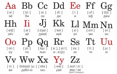 Плакат обучающий А1 ламинир. Английский алфавит с транскрипцией и  произношением 610x914 мм - купить с доставкой по выгодным ценам в  интернет-магазине OZON (337381191)