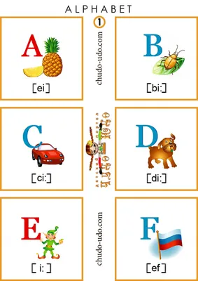 Английский алфавит: 32 красочных развивающих карточек для занятий с детьми  - отзывы покупателей на маркетплейсе Мегамаркет | Артикул: 100025986692