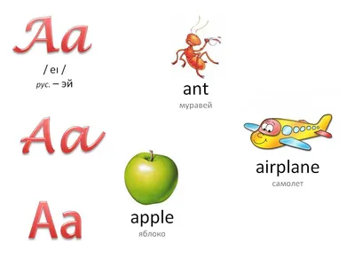 Английский алфавит в картинках. Английский язык - детям | Нет автора -  купить с доставкой по выгодным ценам в интернет-магазине OZON (828205936)