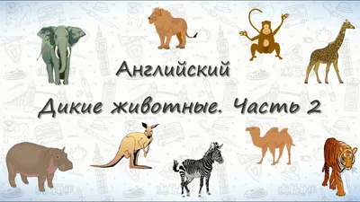 Прописи. Английский в стихах и картинках: животные. Для детей 6-7 лет –  купить по цене: 27 руб. в интернет-магазине УчМаг