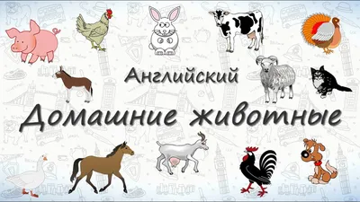 KEnglish.ru - для родителей и для детей. | KEnglish.ru