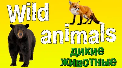 Animals on the farm. Учим животных на ферме на английском языке. //  #УчуАнглийский - YouTube