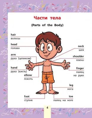 детская одежда картинки, английский для детей одежда | Детская одежда,  Одежда, Для детей