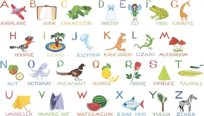 Английский словарь для малышей в картинках — купить книги на русском языке  в DomKnigi в Европе