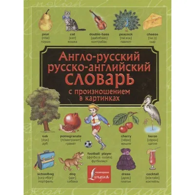 Мебель, название мебели на английском языке в картинках | Картинки слов,  Английский язык, Язык