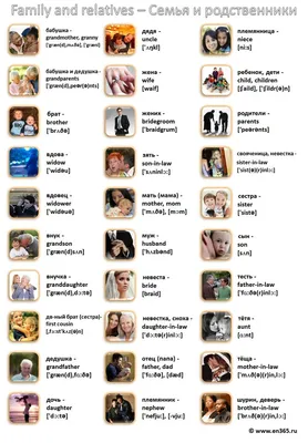 Родственники, название родственников на английском языке в картинках |  Картинки слов, Английский язык, Язык