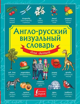 Книга Англо-русский. Русско-английский словарь с произношением в картинках  - купить книги по обучению и развитию детей в интернет-магазинах, цены на  Мегамаркет |