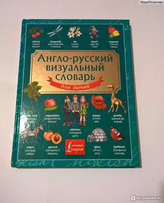 Купить Англо-русский визуальный словарь с транскрипцией . Артикул: 16178 -  Купить книгу в книжном магазине