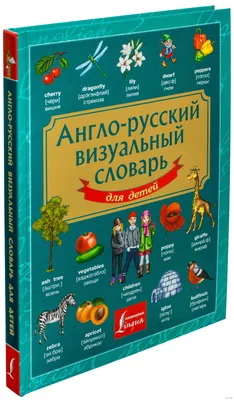 Англо-русский визуальный словарь для детей - купить книгу Англо-русский  визуальный словарь для детей в Минске — Издательство АСТ на OZ.by