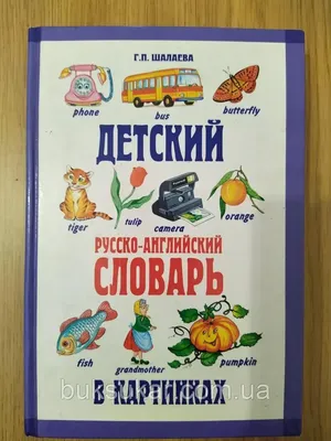 Иллюстрация 7 из 16 для Англо-русский словарик в картинках - Алевтина  Илюшкина | Лабиринт - книги. Источник: