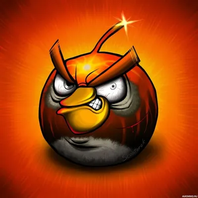 Картинка с птичкой из игры Angry Birds. Скачать аватар со злой взрывающейся  птицей. — Картинки и аватары | Искусство птицы, Рисунки, Птицы