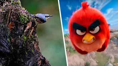 Мульти-набор Angry Birds телепортация в ассортименте купить по цене 4435 ₸  в интернет-магазине Детский мир