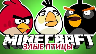 Красный кардинал: Та самая птичка из Angry Birds. И она реально оказалась  безумной! | Пикабу