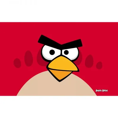 Angry Birds Space Angry Birds Seasons Птица собирает Бутылку, крутые  девчонки, фиолетовый, игра, видеоигра png | PNGWing