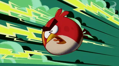 Новая игра про злых птиц: Angry Birds превратится в гонку -  Korrespondent.net