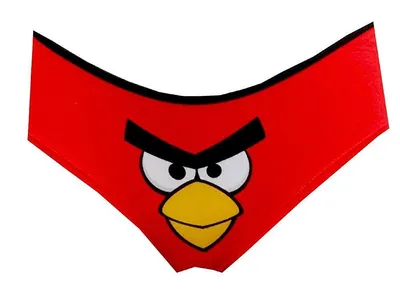 Фотограф случайно сфотографировал «настоящую сердитую птичку» из Angry Birds.  | Наш Удивительный Мир | Дзен