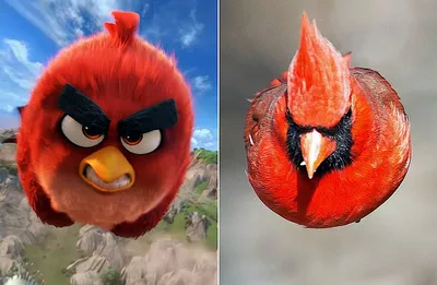 Виниловая наклейка \"Синие птицы Angry Birds\"