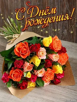 С днем рождения, Анна Сергеевна!