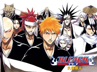 Pin by Kurogane on Anime in 2023 | Bleach anime, Bleach characters, Bleach  manga