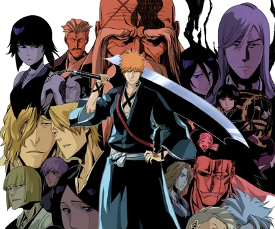 Pin by Shiro シカフー on ??! 𝗕𝗹𝗲𝗮𝗰𝗵 in 2023 | Bleach anime, Bleach anime  ichigo, Anime characters