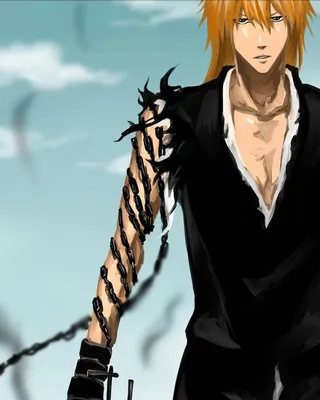 BLEACH: The Official Anime Coloring Book (Bleach: The Official Coloring  Book): VIZ Media: 9781974740918: Amazon.com: Books