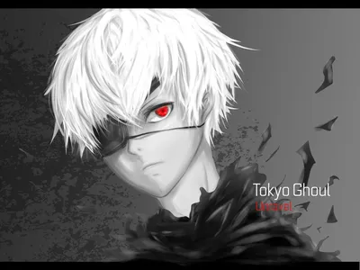 Обои на рабочий стол Канеки Кен / Kaneki Ken из аниме Tokyo Ghoul /  Токийский Гуль, by Rouisu, обои для рабочего стола, скачать обои, обои  бесплатно