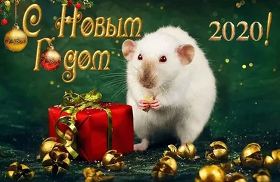 С Наступающим Новым Годом!С 2018!Несколько аниме артов на тему нового  года,еще раз с новым годом! | Пикабу