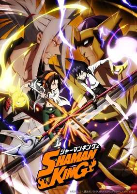 Shaman King and the power of tradition