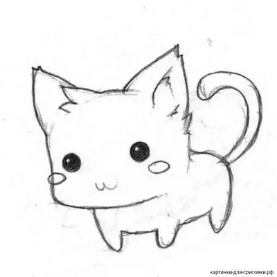 Рисунки для срисовки аниме животные (70 фото) ✏