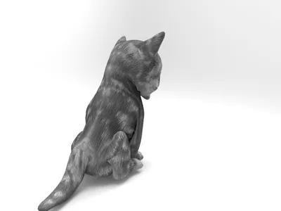 анимированный милый кот 3D Модель $29 - .3ds .fbx .max .ma .obj - Free3D
