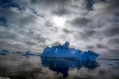 Обои Antarctica Природа Айсберги и ледники, обои для рабочего стола,  фотографии antarctica, природа, айсберги и ледники, холод, океан, лёд,  вода, антарктида, мерзлота, вечная, ледник, снег Обои для рабочего стола,  скачать обои картинки