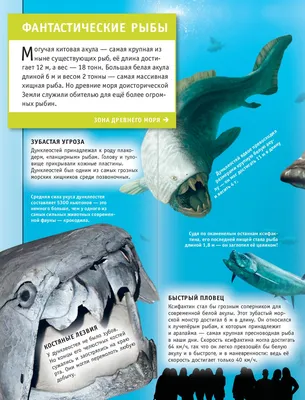 Рыба арапайма - pirarucu arapaima gigas - одна из крупнейших пресноводных  рыб и речных озер в бразилии - рыба змеиной головы | Премиум Фото