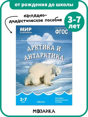 НДМ с конспектами занятий (папки). Животные Арктики и Антарктики - Стрекоза