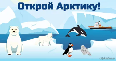 День Арктики | МБОУ «Гимназия №3 им. Л. П. Данилиной» Дошкольное отделение