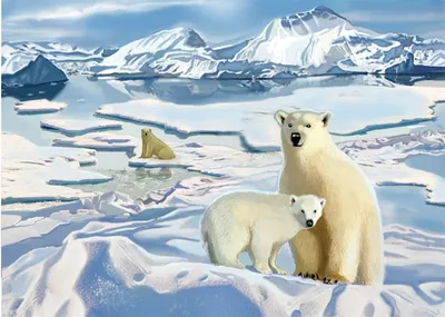 Арктика картинки для детей - 27 фото