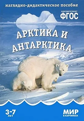 Amazon.com: Mir v kartinkah. Arktika i antarktika. FGOS: 9785431506116:  Books