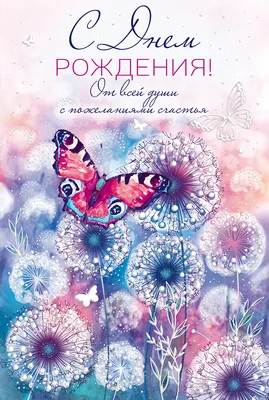 ART of Alexandrinko racoon card happy birthday illustration | Забавные  открытки ко дню рождения, Изображения дня рождения, Забавное поздравление с  днем рождения