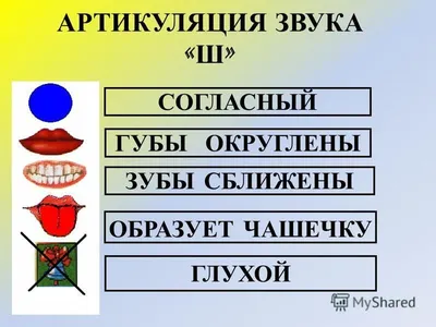 Дистанционное обучение: автоматизируем звук Ш в речи