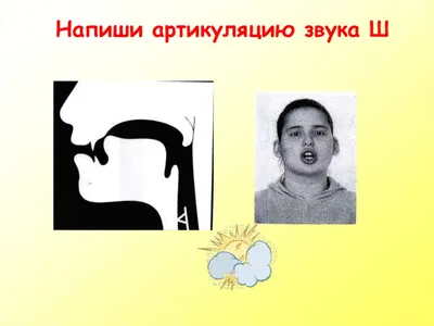 Занятия на постановку шипящих звуков у детей дошкольного возраста |  Дефектология Проф