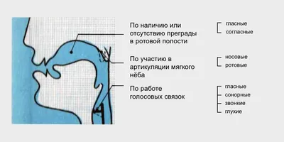 Конспект индивидуального логопедического занятия «Автоматизация звука [ш] в  словах с открытым слогом» (5 фото). Воспитателям детских садов, школьным  учителям и педагогам - Маам.ру