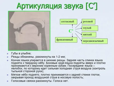 ЛОГОПЕДиЯ сайт учителя-логопеда Хасановой Альфии - Закрепляем звуки Ш,Ж