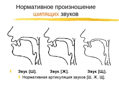 Логопедические картинки при проведении артикуляционной гимнастики