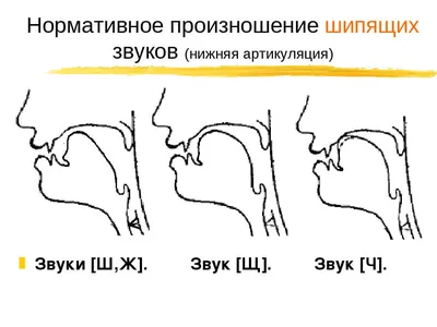 Calaméo - Мастер - класс для родителей по артикуляционной гимнастике