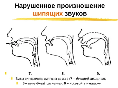 Еще пару десятков лет назад именитые дизайнеры занимались одеждой и а