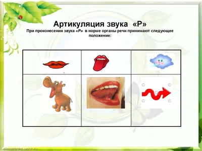 Артикуляционная гимнастика в стихах и картинках. Пособие для логопедов,  воспитателей и родителей, , ГНОМ и Д купить книгу 978-5-907008-58-8 – Лавка  Бабуин, Киев, Украина