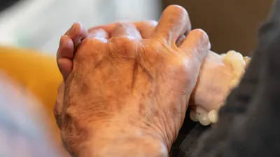Фото артрита кистей рук в природной обстановке