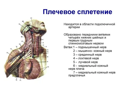 Артрит на пальцах рук: фото в высоком разрешении