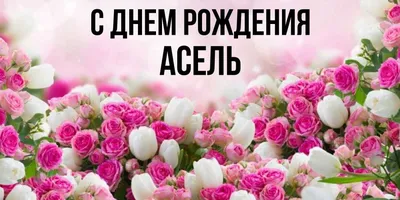 Открытка с именем Асель С днем рождения огромное количество роз на  открытке. Открытки на каждый день с именами и пожеланиями.