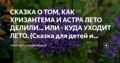 Кровать-чердак для детей от 3 лет Астра-8, спальное место 190х80 см -  Кровать-чердак Астра-8 (детская «РВ-Мебель»)