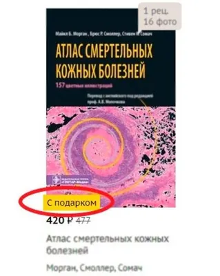 Пин от пользователя Галя, у нас отмена!🤪 на доске Мемы в 2023 г | Мемы,  Забавные картинки, Так смешно